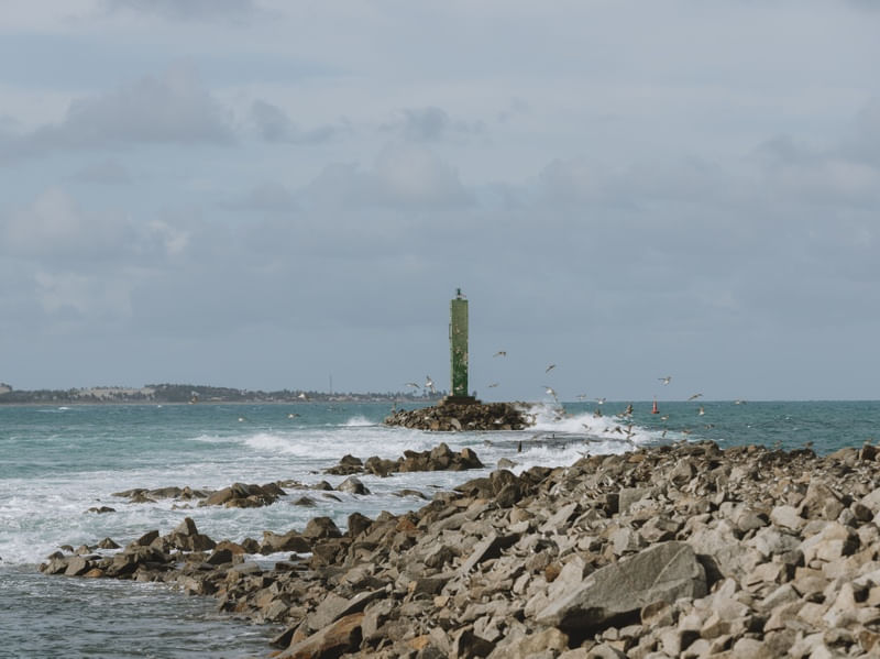 AS PÁSSAROS DAS PEDRAS