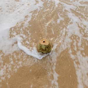 COCONUT SPLASH