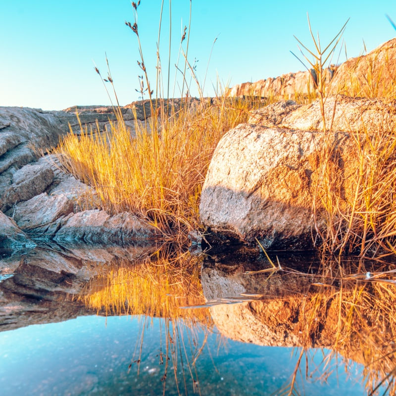 REFLEXOS QUE ENCANTAM