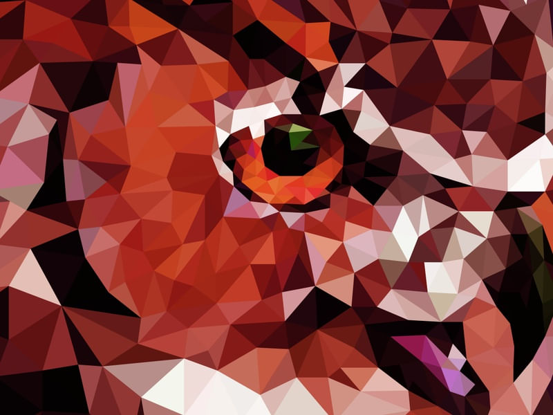 OLHOS DE CORUJA VERMELHO