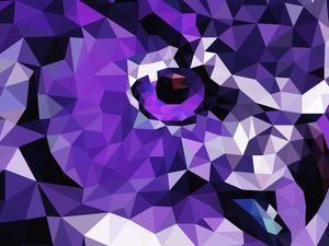 OLHOS DE CORUJA ROXO