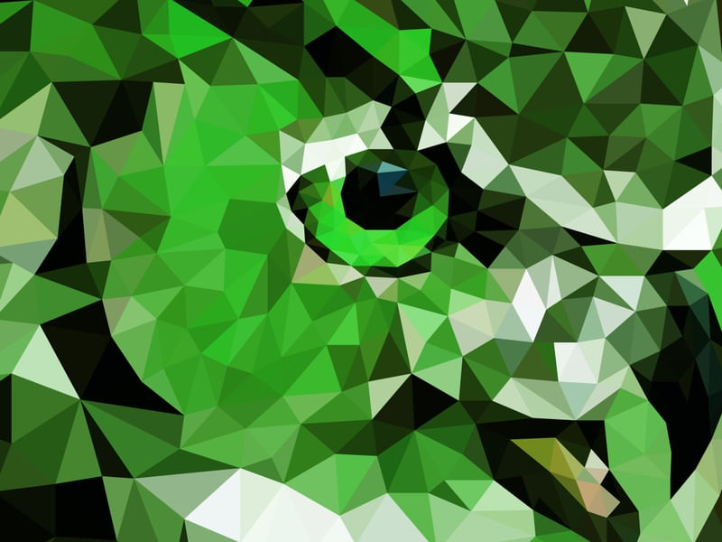 CORUJA VERDE OLHAR