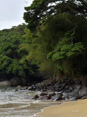 PRAINHA - RJ (DÍPTICO 2-2)