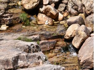 CACHOEIRA CV 7