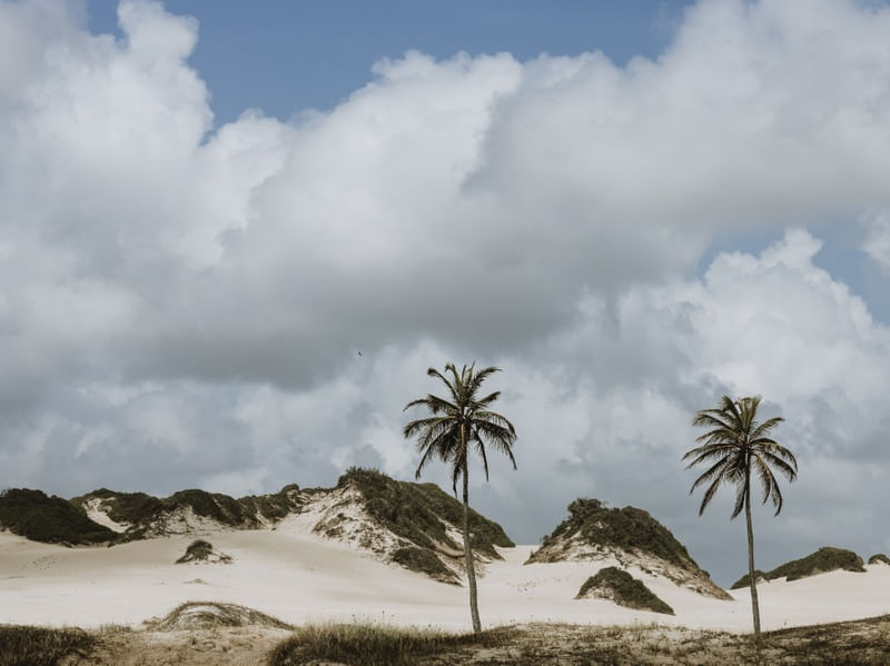PARADISE DUNE