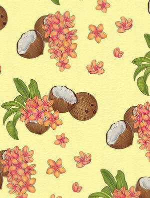COCADA TROPICAL