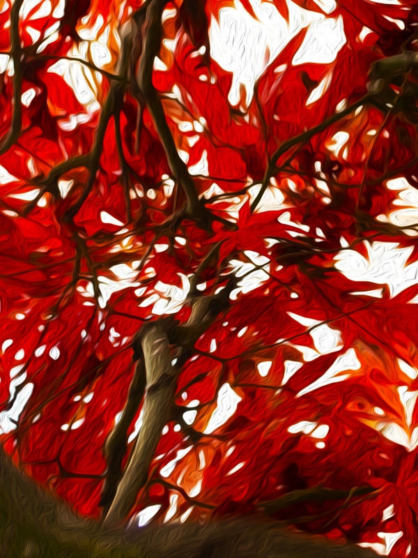 LEAVES FIVE