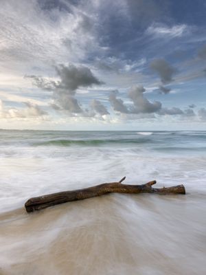 TRONCO NO MAR