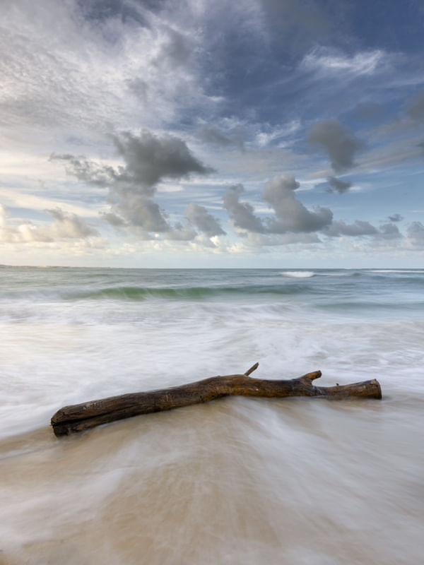 TRONCO NO MAR