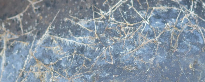 PEDRA CV