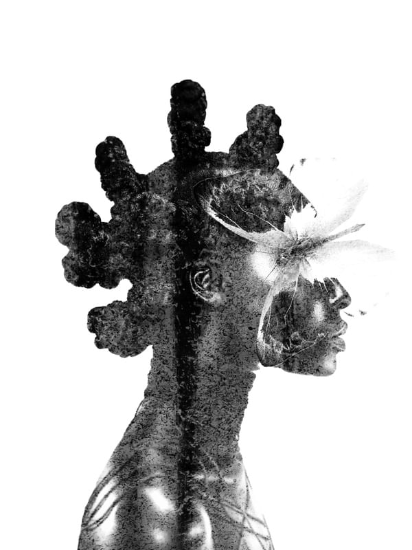 PENSAR EM METAMORFOSE 01