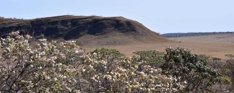 PAISAGEM CV