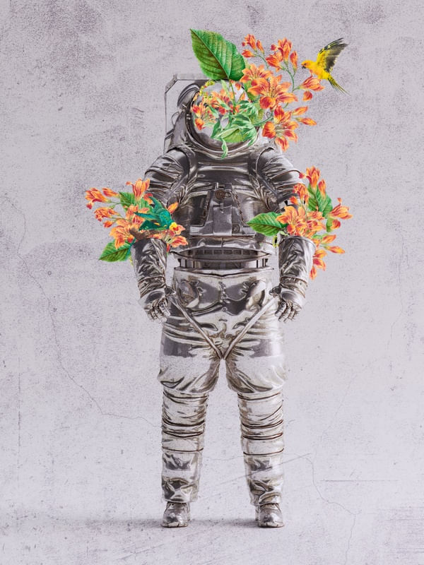 ASTROFLORES DS 00