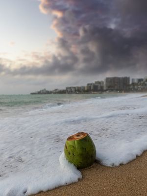 MACEIÓ DREAMS