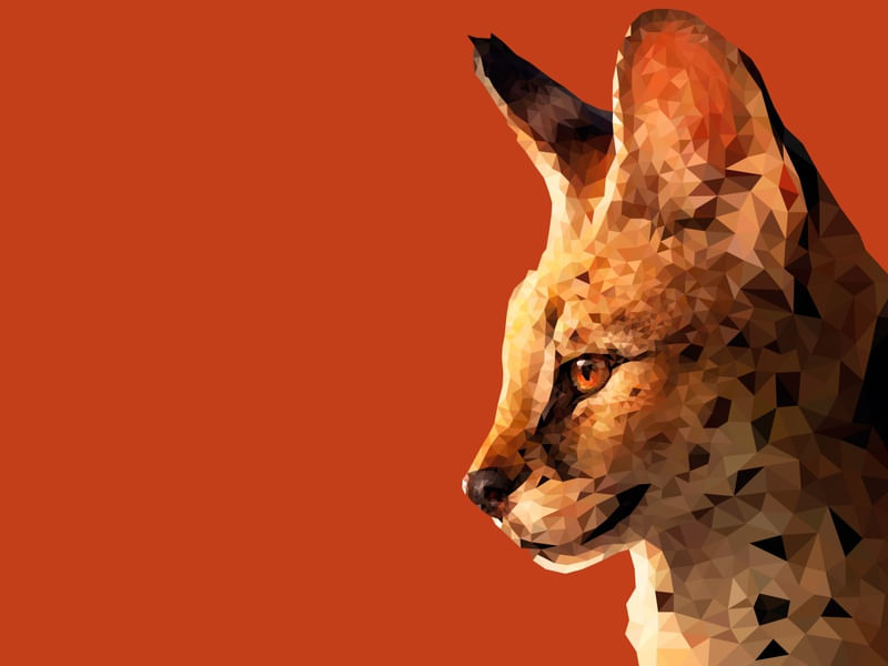 SERVAL POLIGONAL