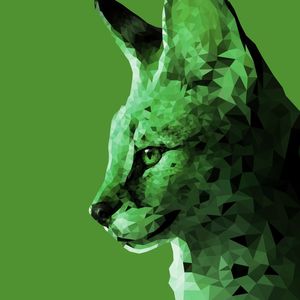 SERVAL POLIGONAL VERDE