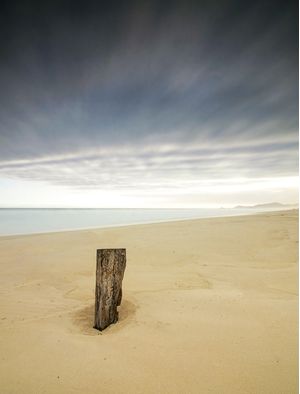 O TRONCO QUE HABITA A PRAIA DESERTA