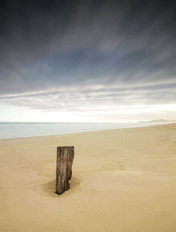 O TRONCO QUE HABITA A PRAIA DESERTA