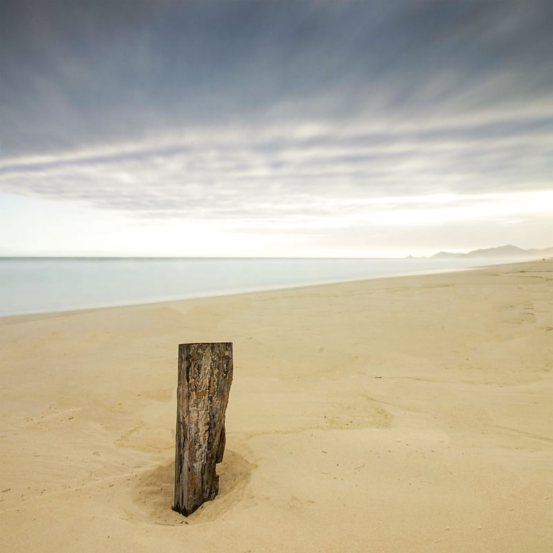 O TRONCO QUE HABITA A PRAIA DESERTA - 2