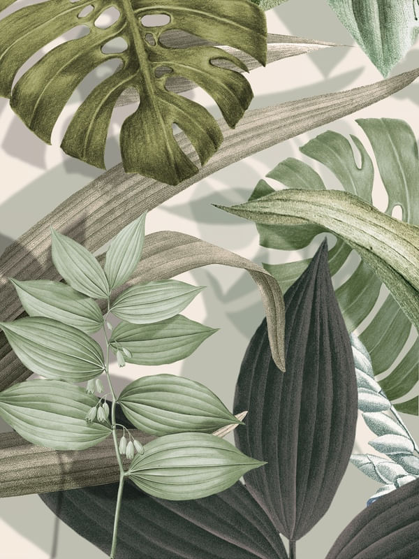 TROPICAL BOTÂNICO - 70A