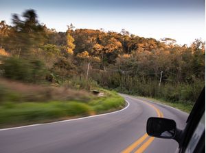 VIAJANDO