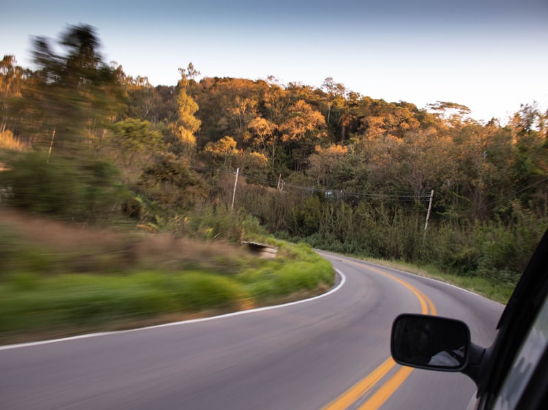 VIAJANDO