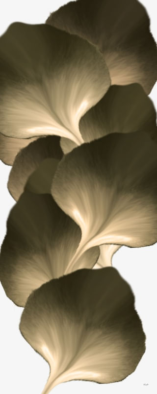 FOLHAS ARTE 06.12.2021