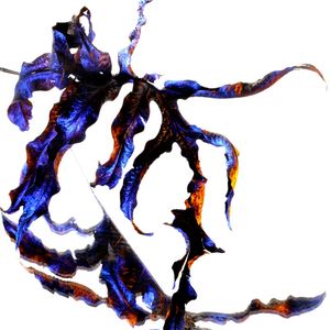 FLO_009