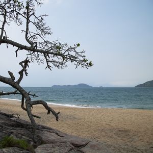 PRAIA DA SUNUNGA 1
