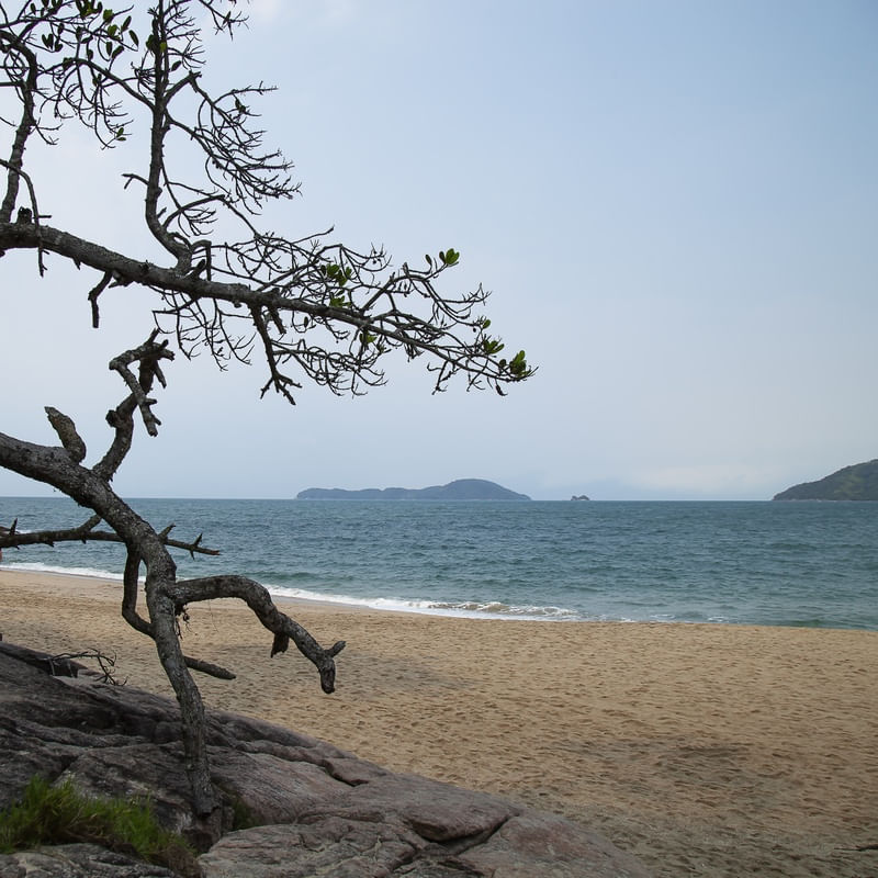 PRAIA DA SUNUNGA 1
