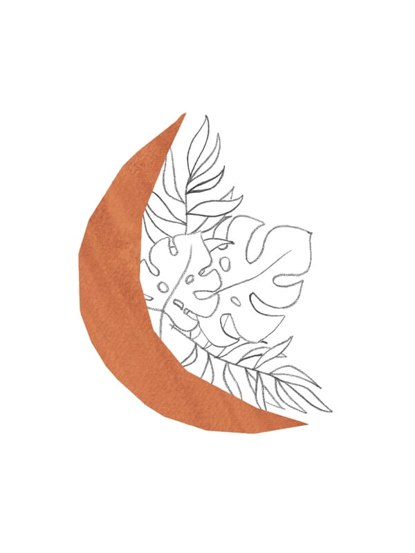 TERRACOTTA MOON AND LEAVES