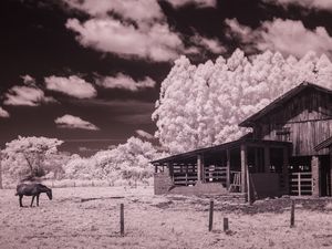 BELA_VISTA_1