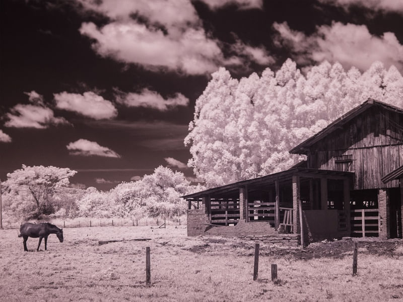 BELA_VISTA_1