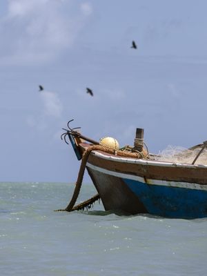 MAR E PROA MARAGOGI
