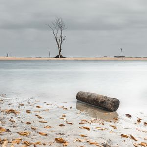 A MARÉ DO DESERTO