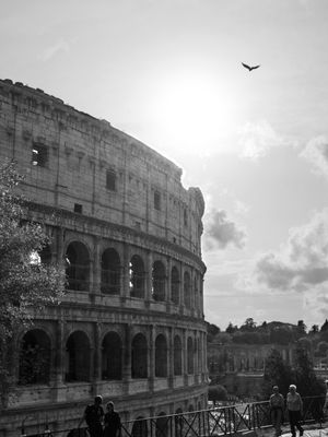 THE COLOSSEUM