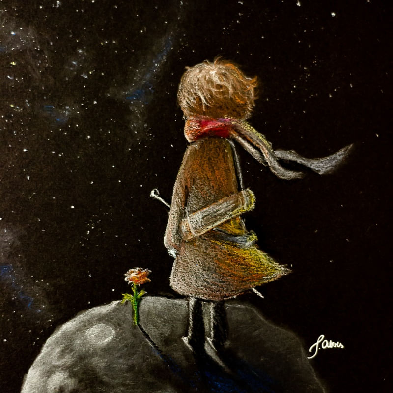 PEQUENO PRÍNCIPE BY PATRICIA ALVES