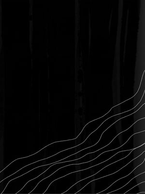 BLACK W WHITE LINES 2