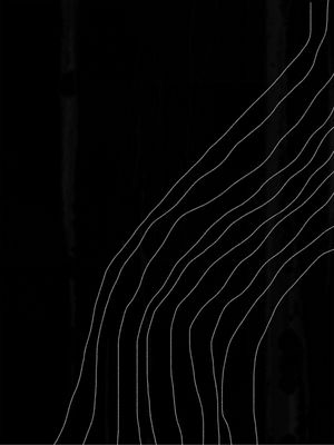 BLACK W WHITE LINES 3