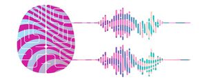MUSICAL BRAIN COLOR