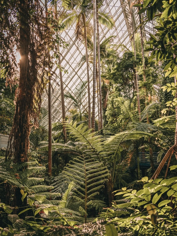 JARDIM BOTANICO ADELAIDE, AUSTRALIA