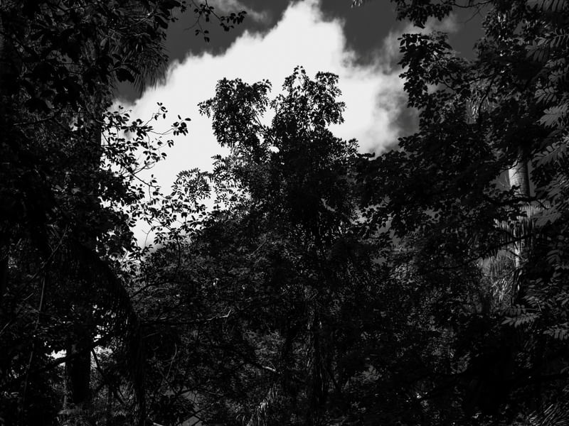 GPJ_211106287
