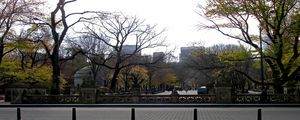CENTRAL PARK PANORÂMICO