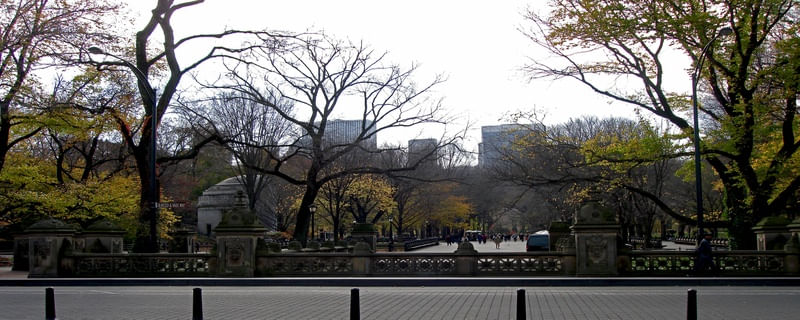 CENTRAL PARK PANORÂMICO