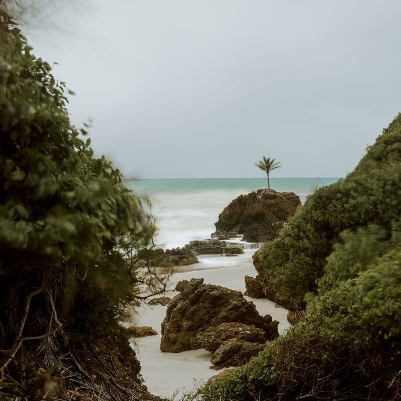 ENTRE RAÍZES E MAR