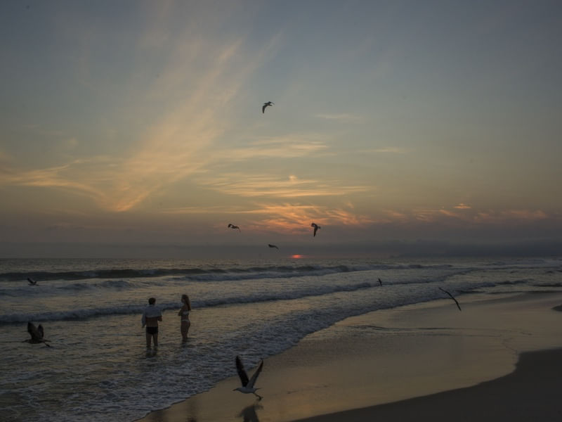 PANORAMICA FIM DE PRAIA