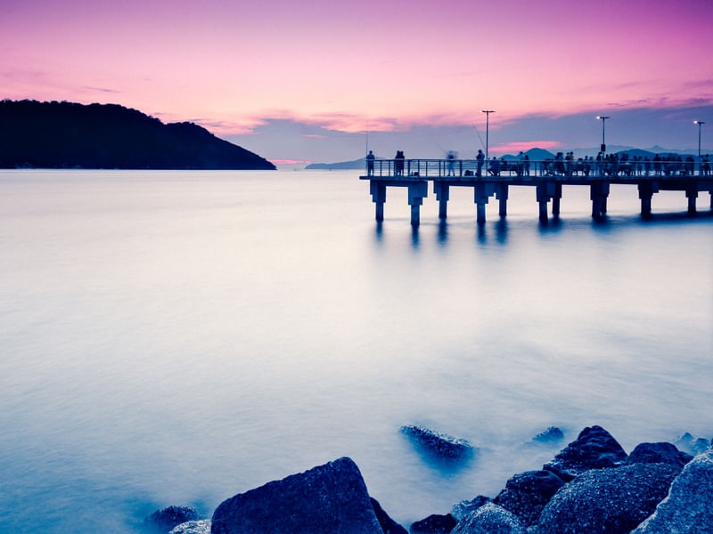 PINK SUNSET - SANTOS