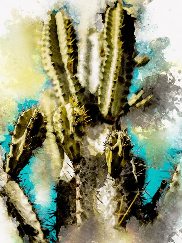 AQUARELA CACTO SERTAO 02