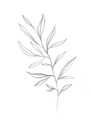 GRAY LEAF MINIMALISM