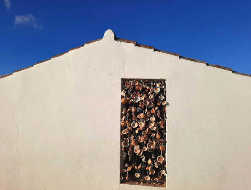 CONCHAS AZÚIS